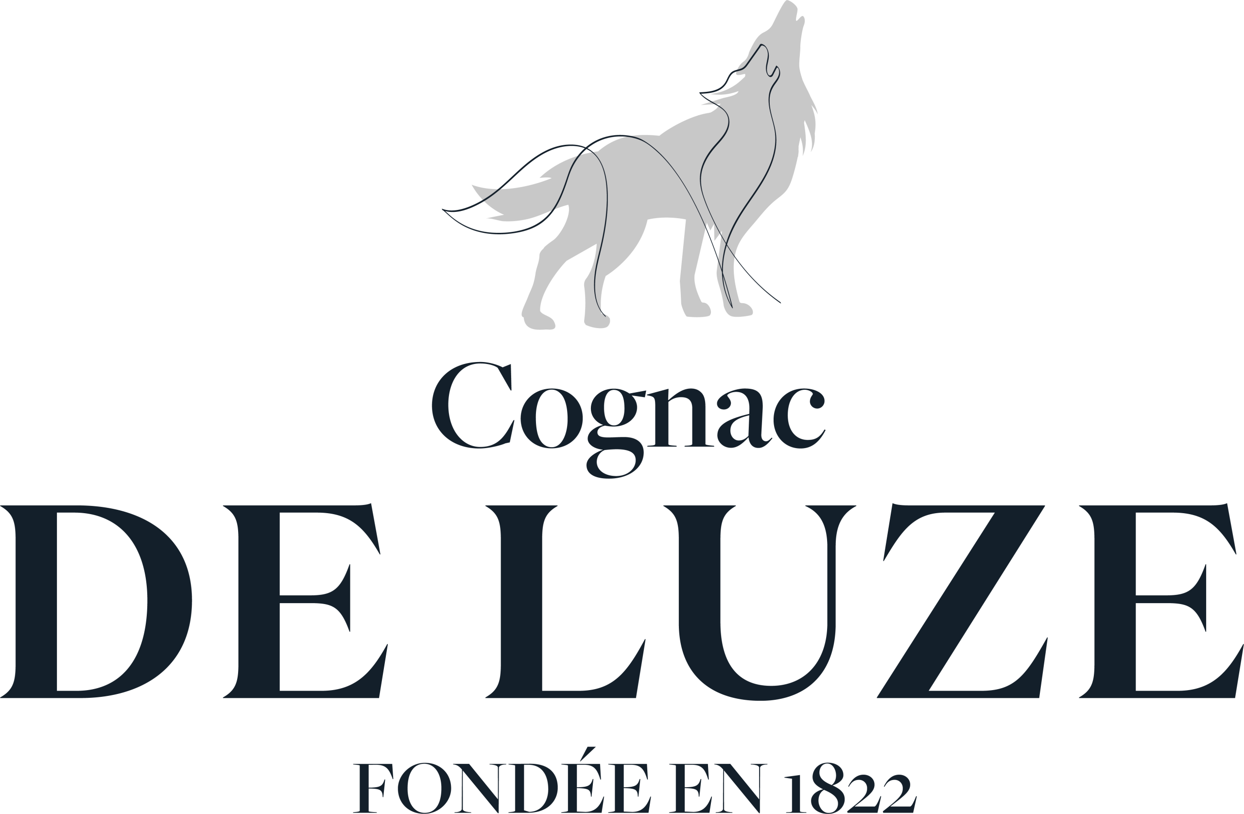 Cognac De Luze