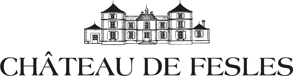Château de Fesles